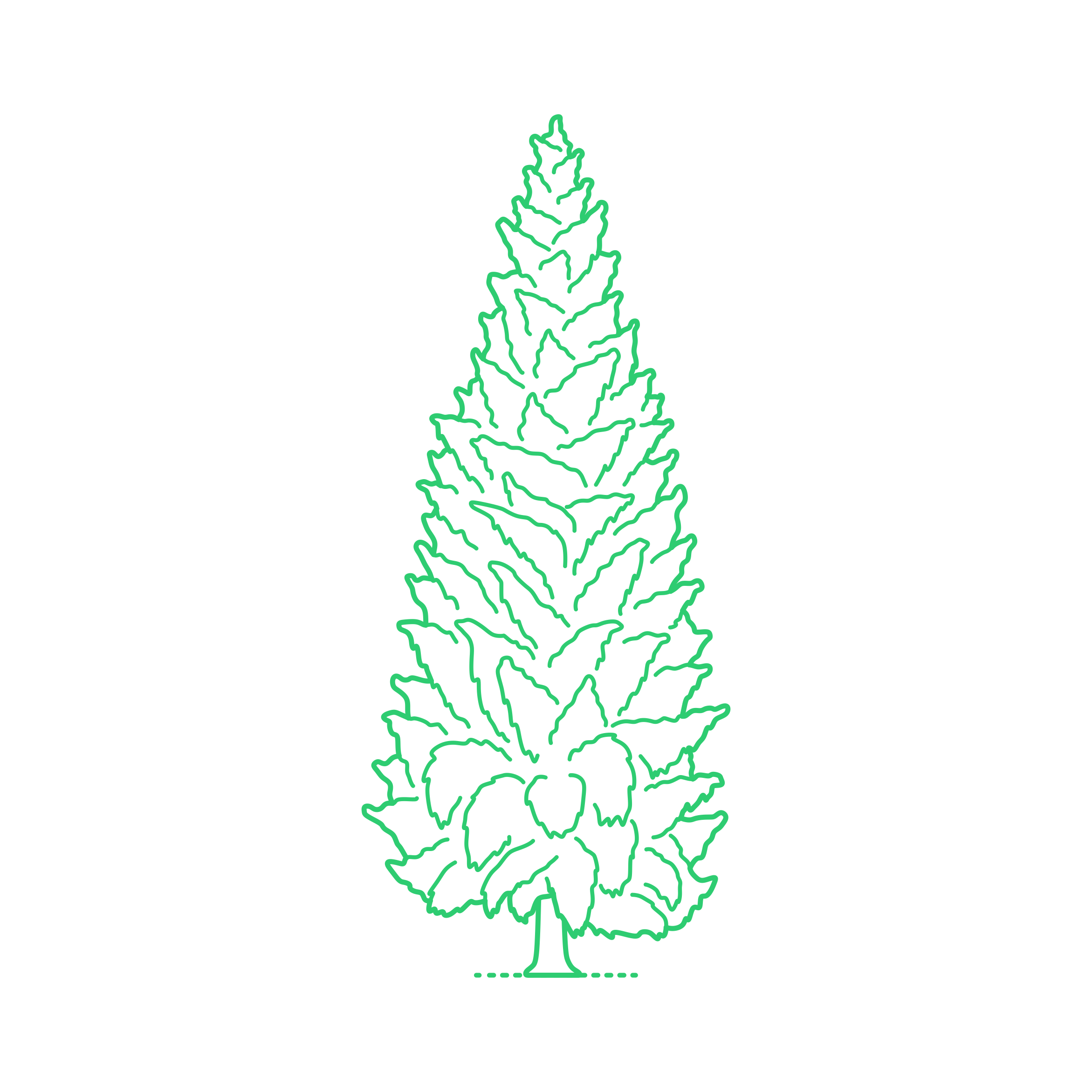 Plants Cypresses Kashmir Cypress Craft Design Svg File Free Vectors